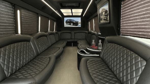 20 passenger party bus interior