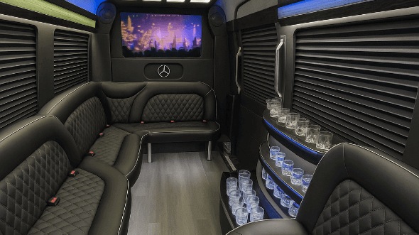 coral springs 14 passenger sprinter limousine inside