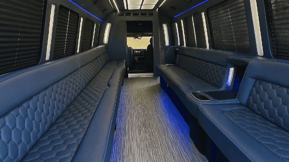 coral springs 20 passenger party bus inside